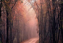 宜昌天涯社区：宜昌人心中的聚集地