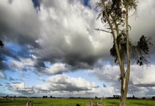 当初心酸！'天涯社区京东'的往事与末路
