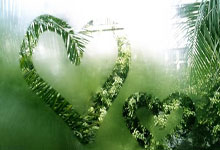 宜昌天涯社区：宜昌人心中的聚集地