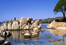 当初心酸！'天涯社区京东'的往事与末路